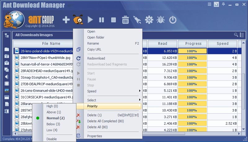 Ant Download Manager Pro