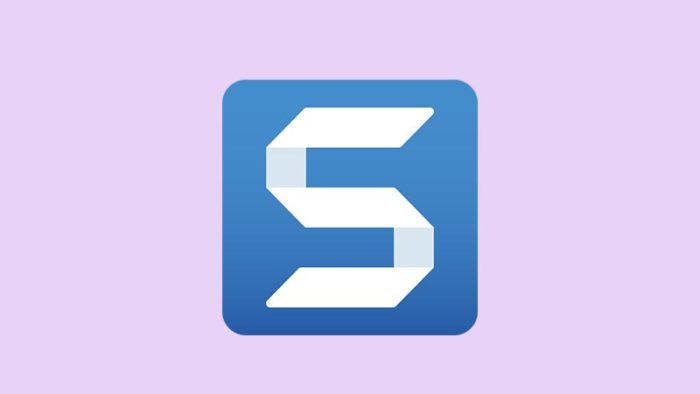 snagit 2021 mac snagit 2021 mac