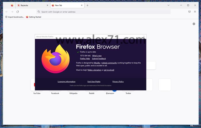 Free Download Mozilla Firefox Full Version