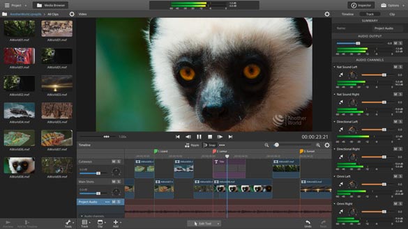 Free Download Sony Catalyst Production Suite 2019 Full Version 64 Bit