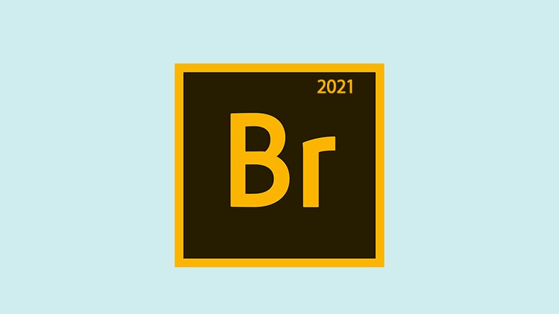 Download Adobe Bridge CC 2021 Full Version Gratis