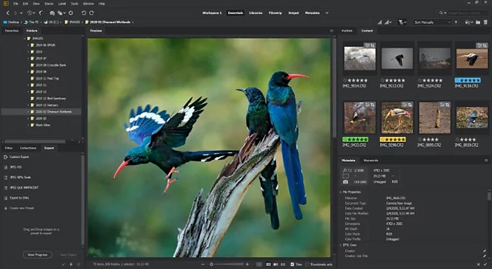 adobe bridge photo downloader adobe bridge photo downloader