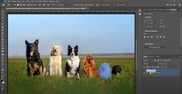Adobe Photoshop 2022 Full Download Windows 10