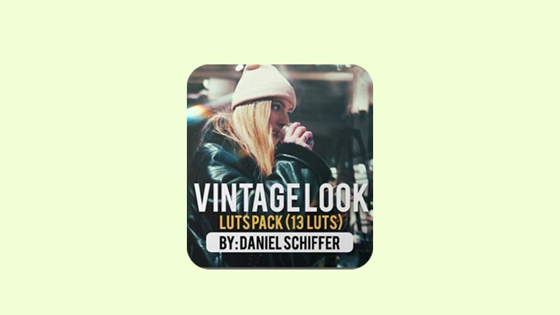 Download Daniel Schiffer LUTs Vintage Look Gratis PC