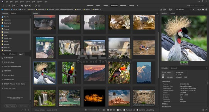 Free Download Adobe Bridge 2023 Full Crack Gratis