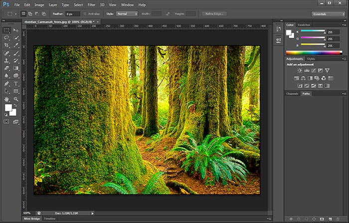Download Photoshop CS6 Full Version PC Windows