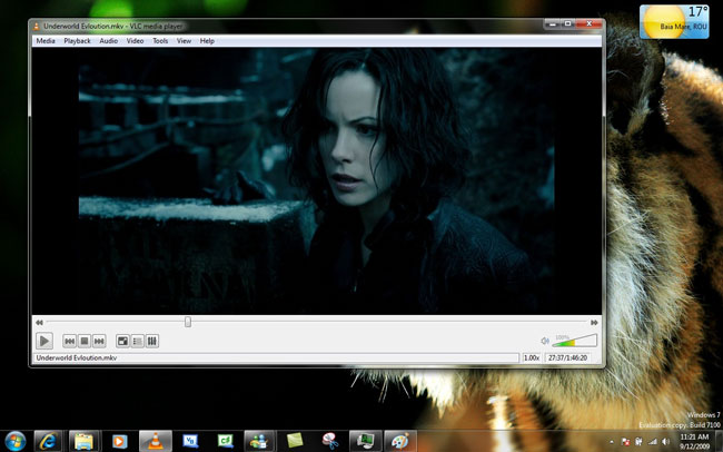 Download VLC Media Player Interface