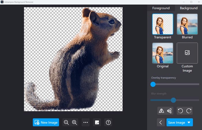 Ashampoo Background Remover Full Download Final PC