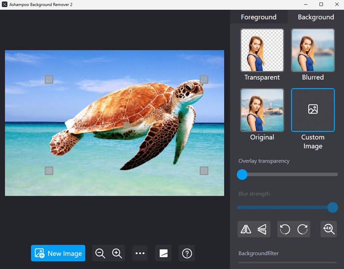 Download Ashampoo Background Remover Full Version Gratis